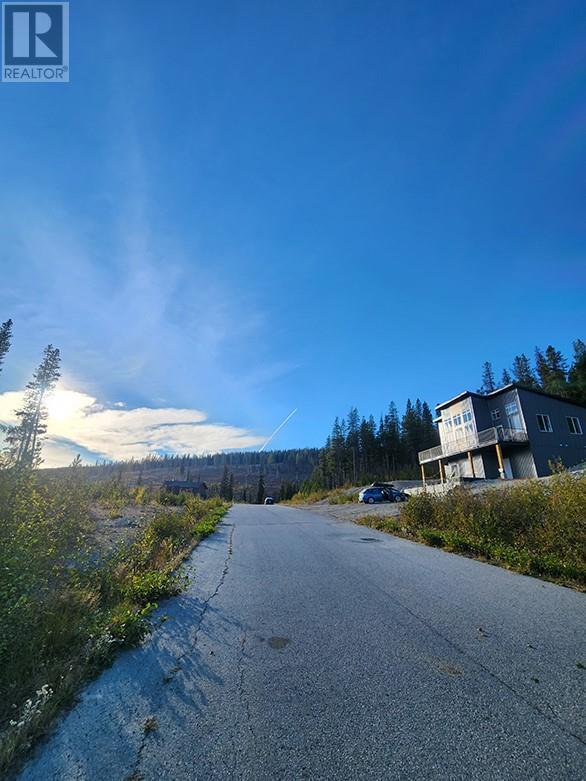 Lot 21 Buck Road, Oliver, British Columbia  V0H 1T8 - Photo 16 - 10326842