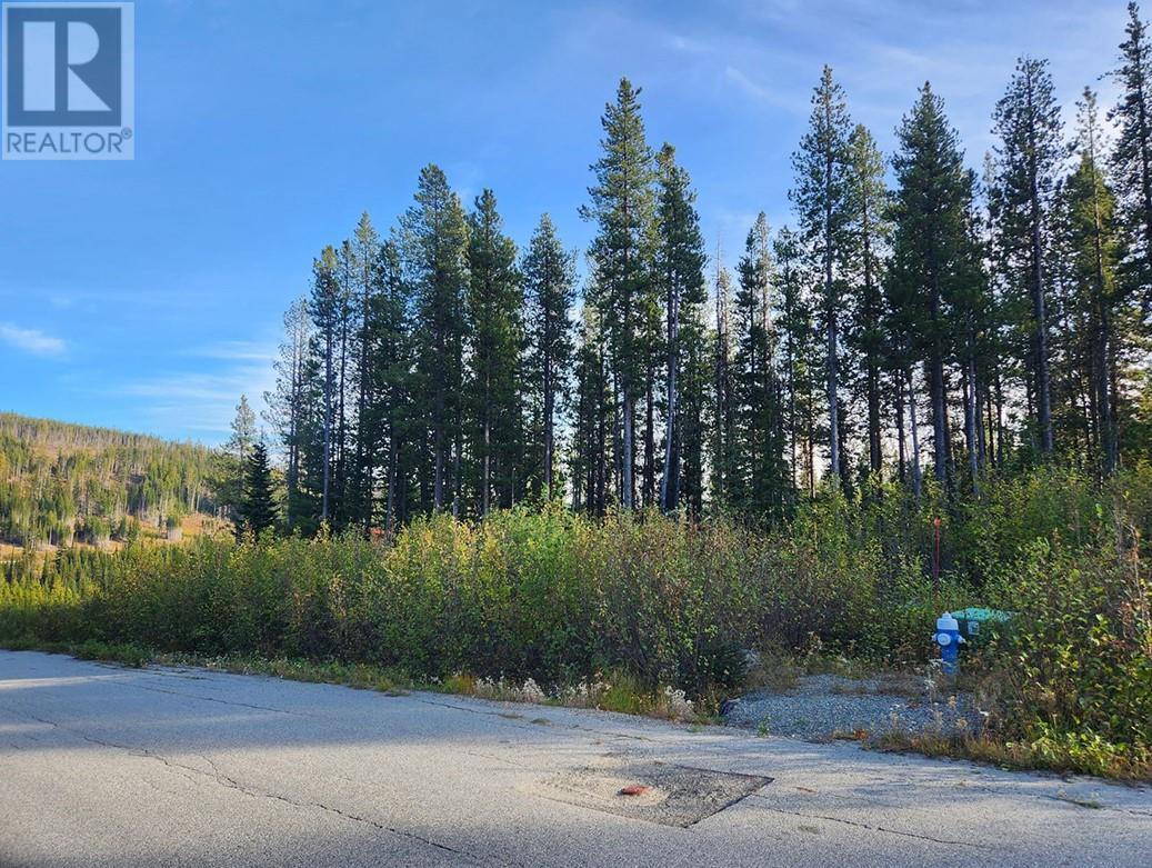 Lot 21 Buck Road, Oliver, British Columbia  V0H 1T8 - Photo 2 - 10326842