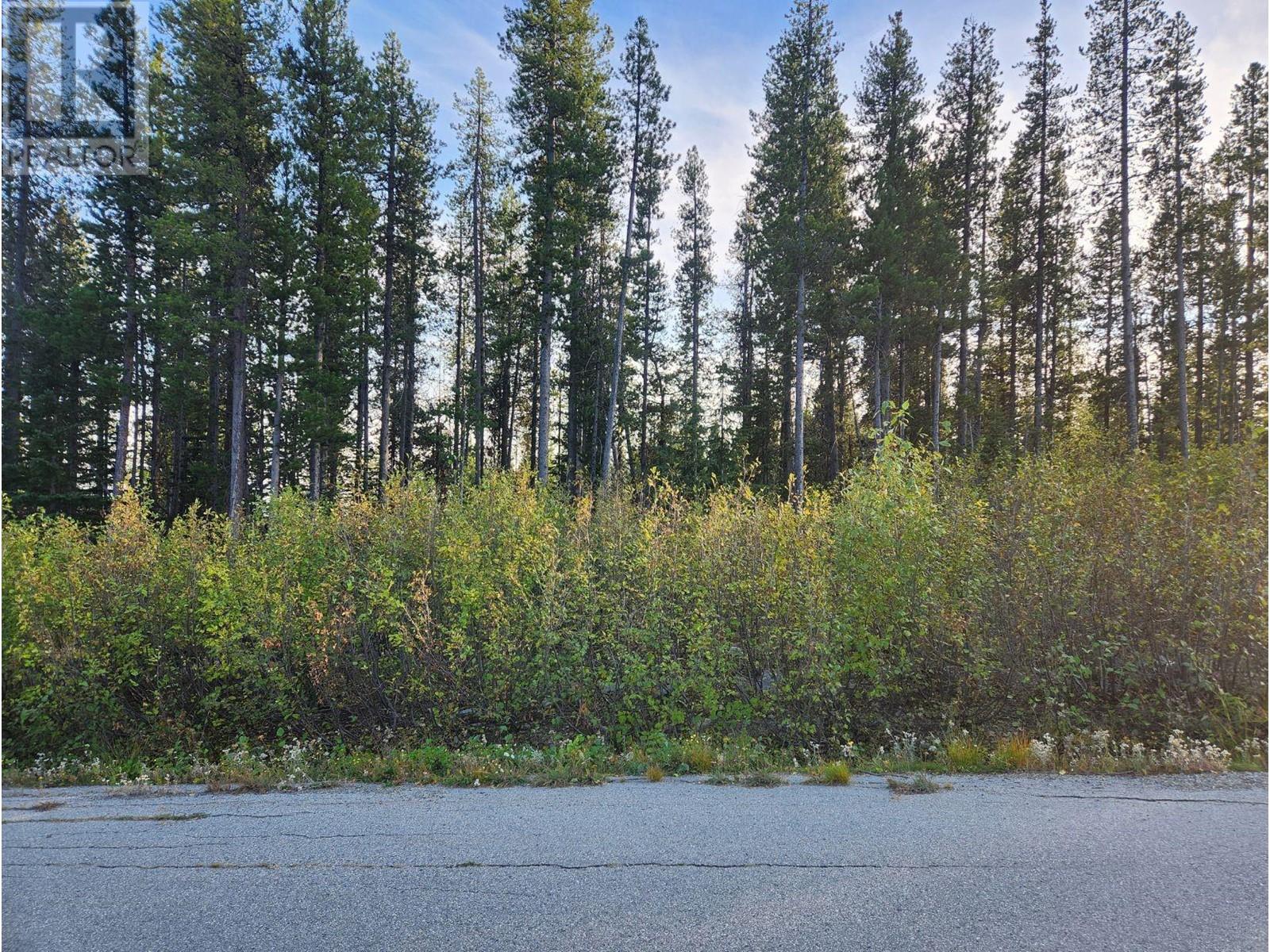 Lot 21 Buck Road, Oliver, British Columbia  V0H 1T8 - Photo 3 - 10326842