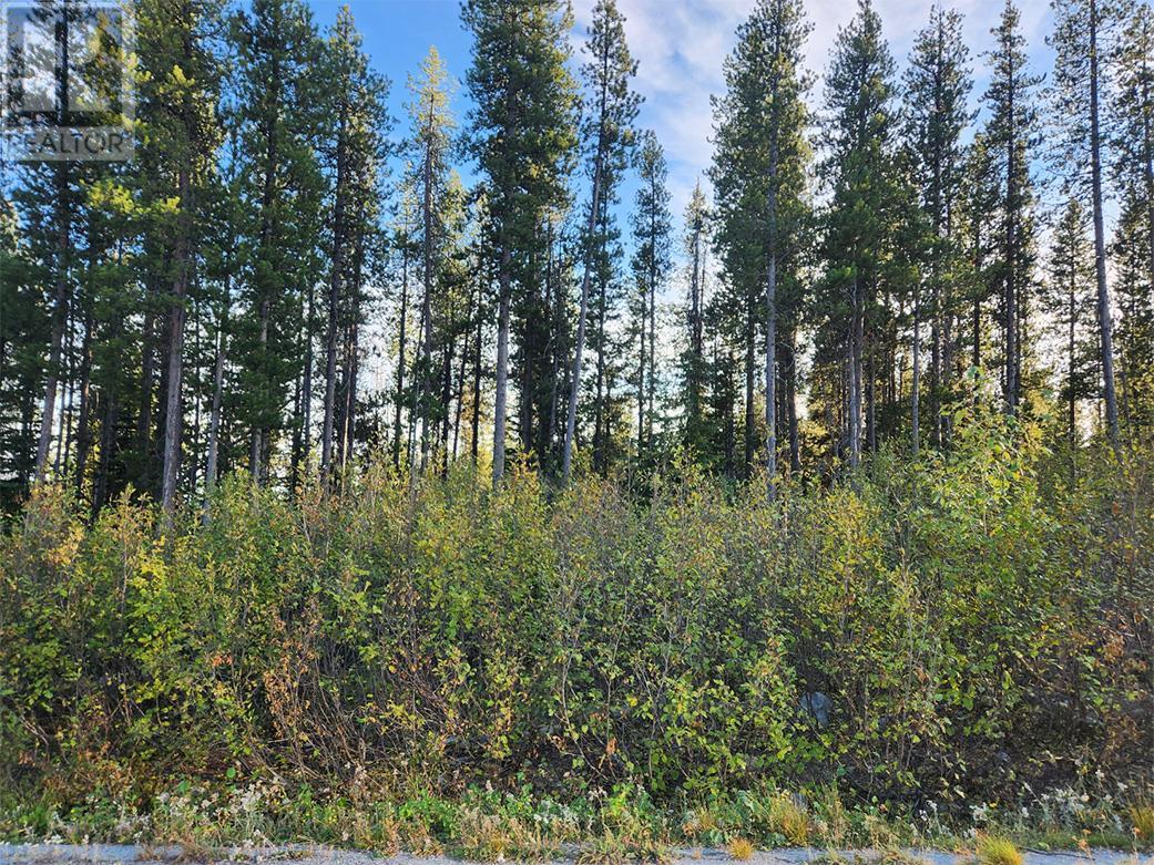 Lot 21 Buck Road, Oliver, British Columbia  V0H 1T8 - Photo 4 - 10326842