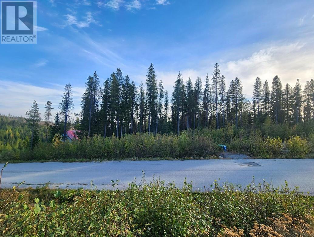 Lot 21 Buck Road, Oliver, British Columbia  V0H 1T8 - Photo 6 - 10326842