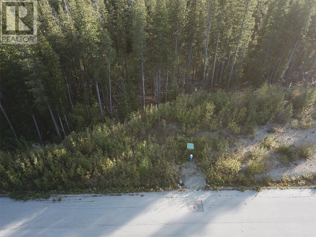 Lot 21 Buck Road, Oliver, British Columbia  V0H 1T8 - Photo 7 - 10326842