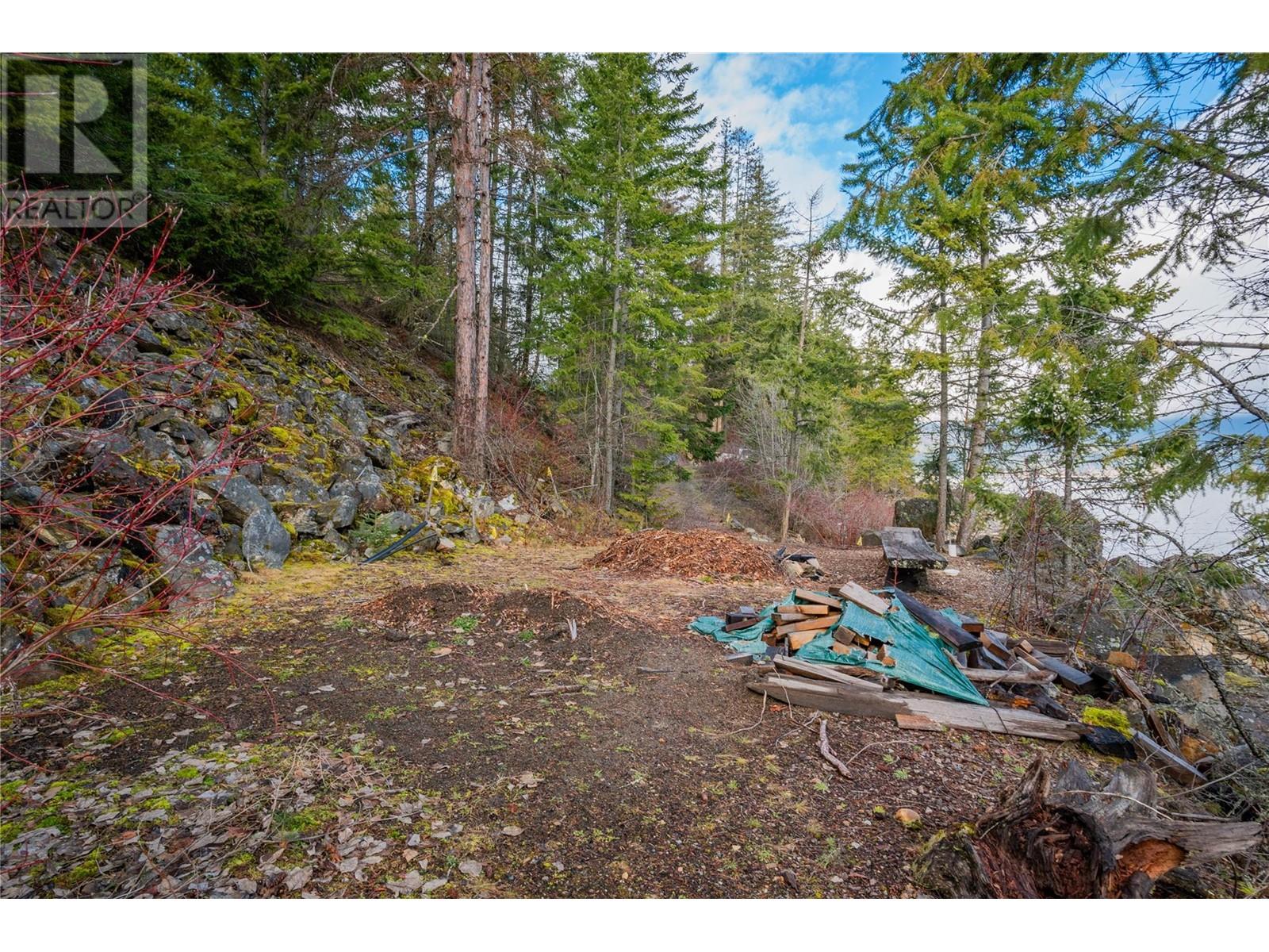 397 Park Avenue, Procter, British Columbia  V1L 0B6 - Photo 35 - 10326820