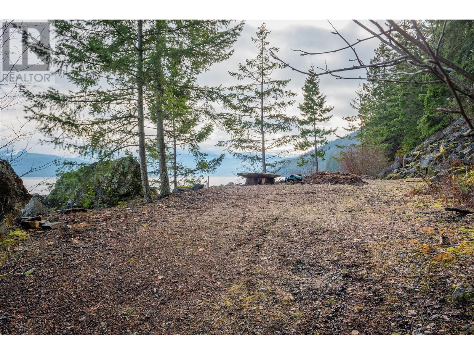 397 Park Avenue, Procter, British Columbia  V1L 0B6 - Photo 64 - 10326820