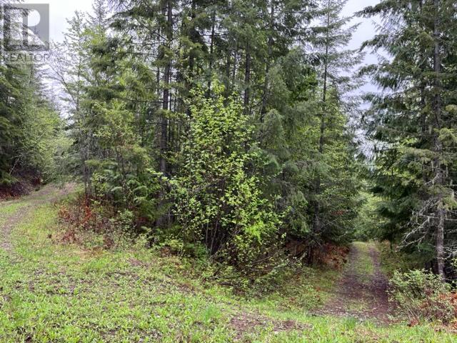 Lot 2 Bischoff Road, North Shuswap, British Columbia  V0E 1M4 - Photo 2 - 175823