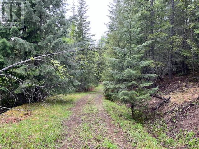 Lot 2 Bischoff Road, North Shuswap, British Columbia  V0E 1M4 - Photo 4 - 175823