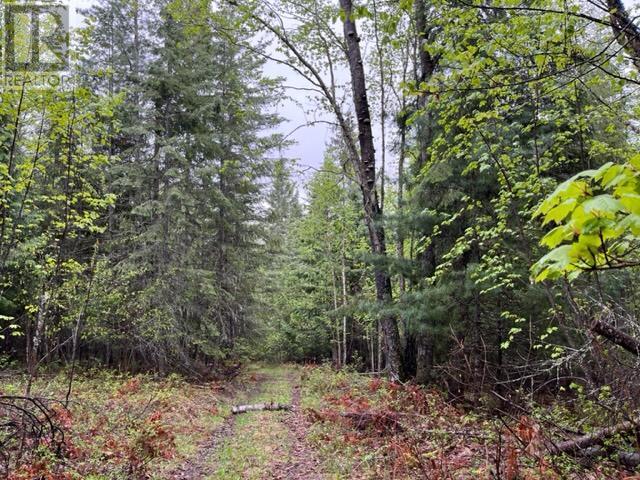 Lot 2 Bischoff Road, North Shuswap, British Columbia  V0E 1M4 - Photo 6 - 175823