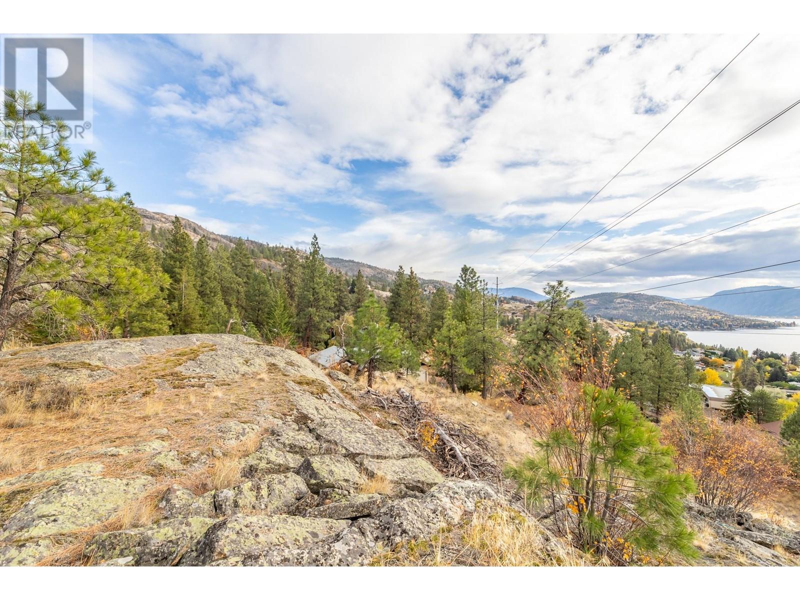 223 Sunnybrook Drive, Okanagan Falls, British Columbia  V0H 1R3 - Photo 41 - 10327287