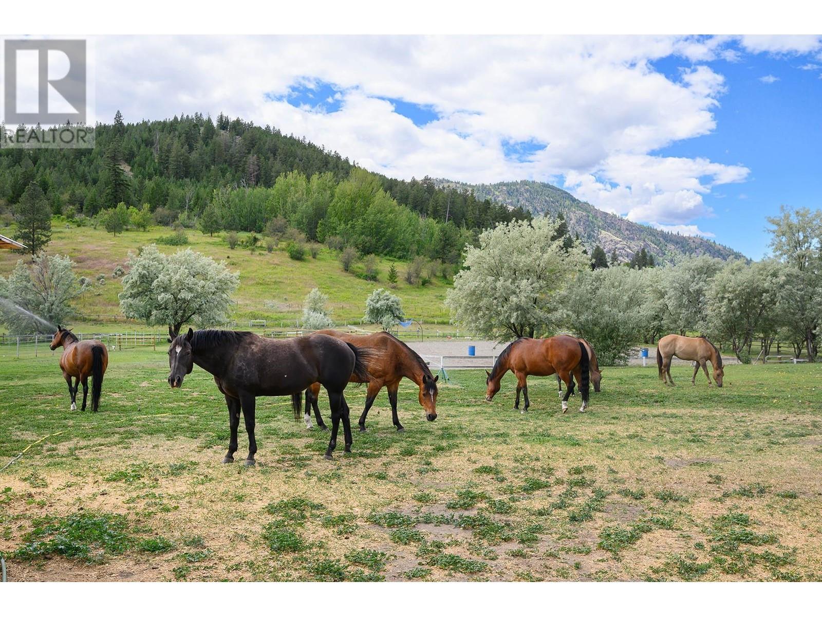 6877 Barnhartvale Road, Kamloops, British Columbia  v2c 6v7 - Photo 6 - 10327315