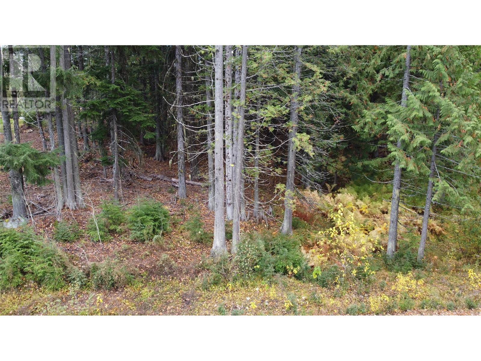 206 Cedar Creek Place, Rossland, British Columbia  V0G 1Y0 - Photo 21 - 10327784