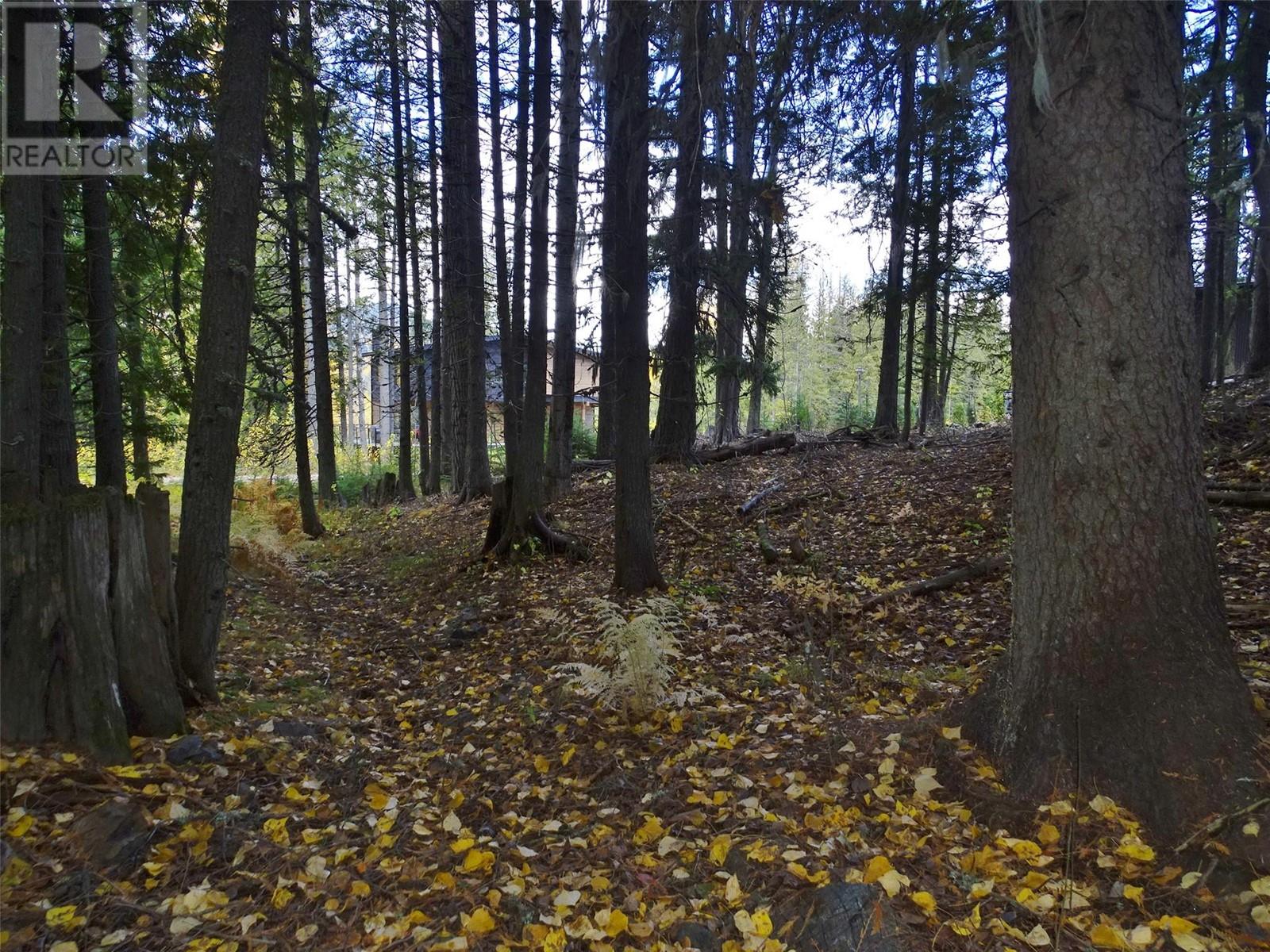 206 Cedar Creek Place, Rossland, British Columbia  V0G 1Y0 - Photo 27 - 10327784