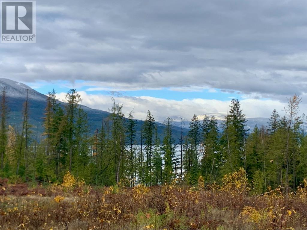 Lot A 23 Highway, Nakusp, British Columbia  V0G 1R0 - Photo 1 - 10327777