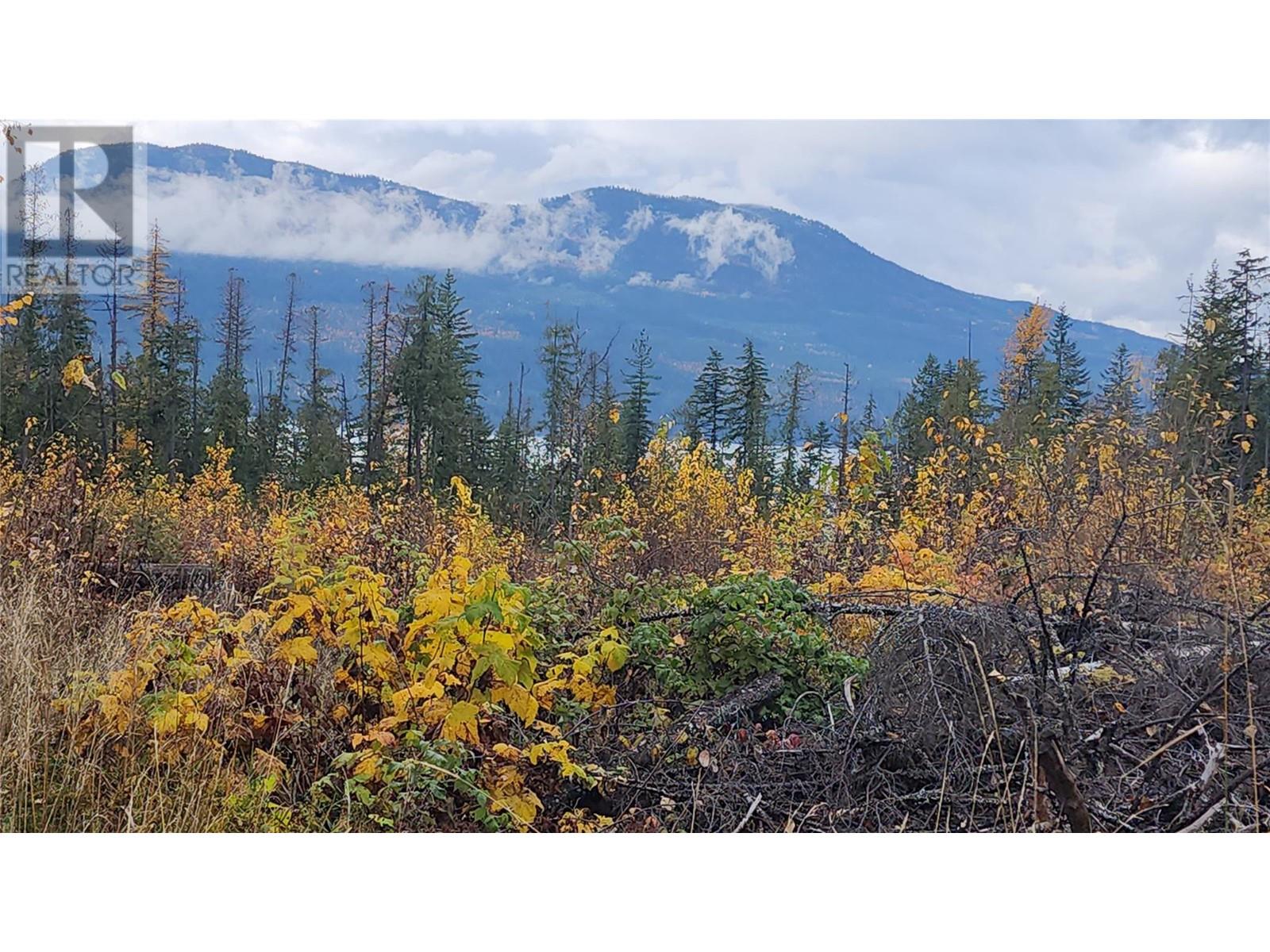 Lot A 23 Highway, Nakusp, British Columbia  V0G 1R0 - Photo 10 - 10327777