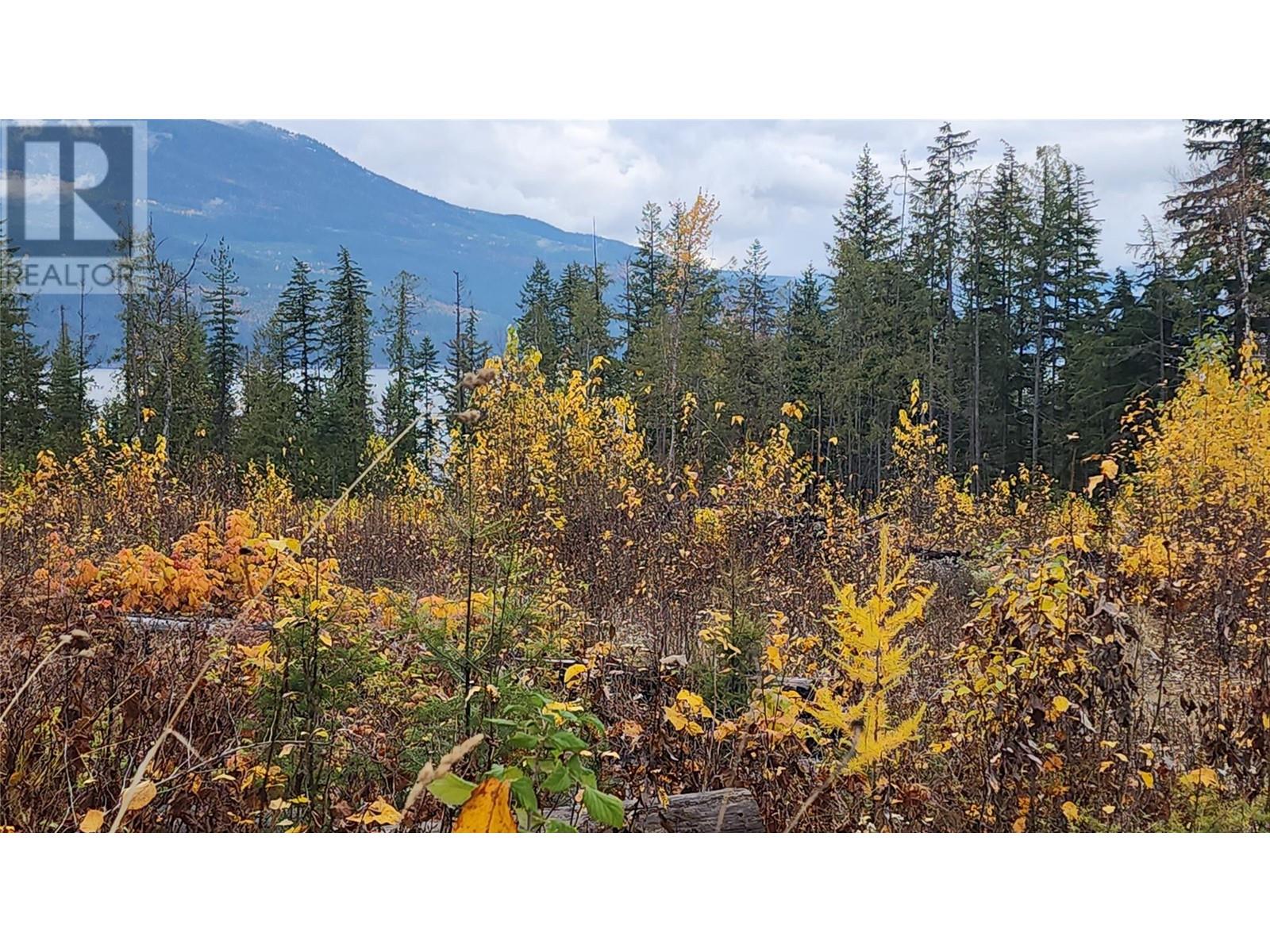 Lot A 23 Highway, Nakusp, British Columbia  V0G 1R0 - Photo 13 - 10327777