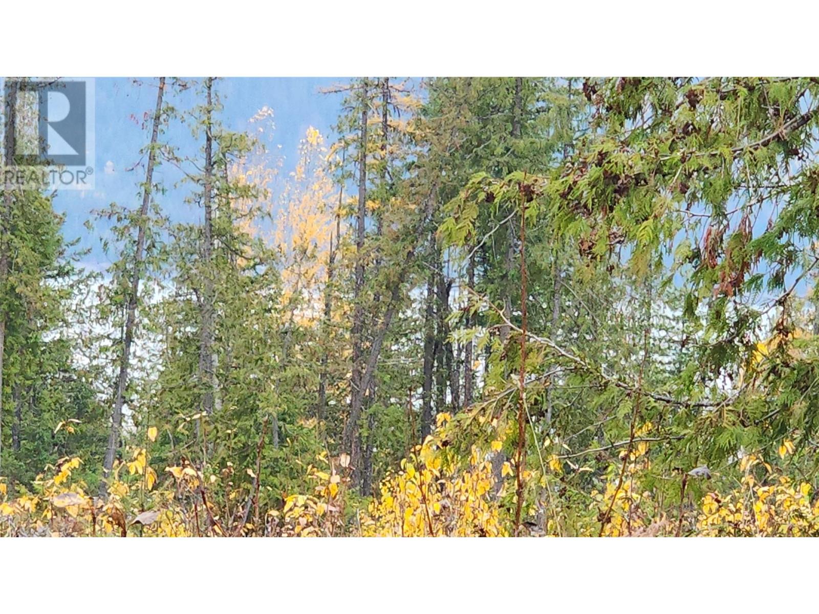 Lot A 23 Highway, Nakusp, British Columbia  V0G 1R0 - Photo 15 - 10327777