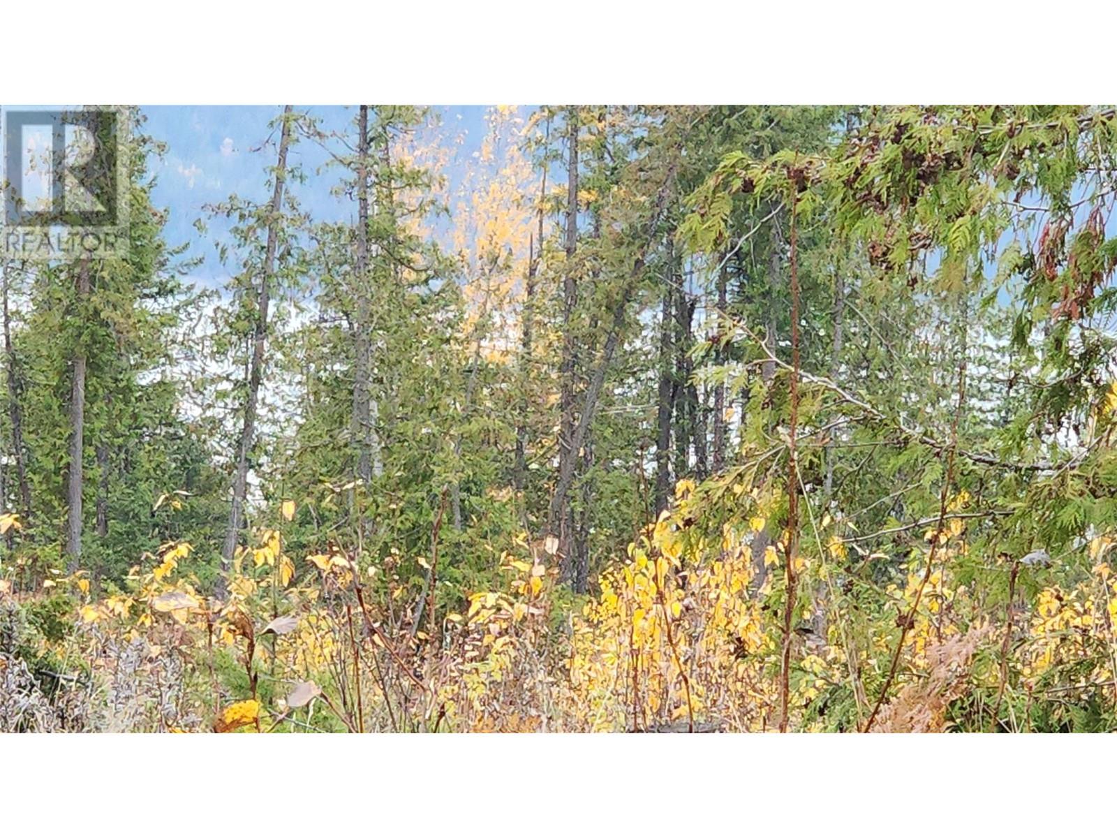 Lot A 23 Highway, Nakusp, British Columbia  V0G 1R0 - Photo 16 - 10327777