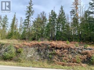 Lot A 23 Highway, Nakusp, British Columbia  V0G 1R0 - Photo 19 - 10327777