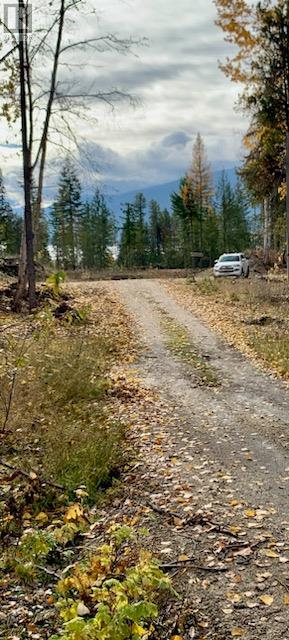 Lot A 23 Highway, Nakusp, British Columbia  V0G 1R0 - Photo 5 - 10327777