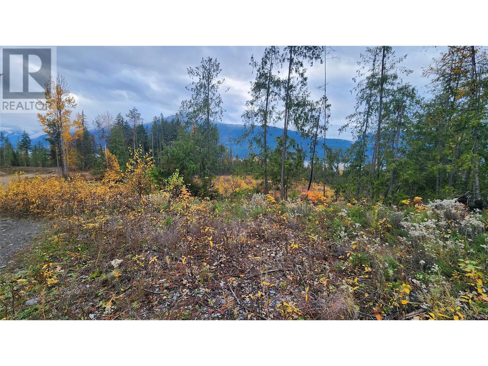 Lot A 23 Highway, Nakusp, British Columbia  V0G 1R0 - Photo 7 - 10327777