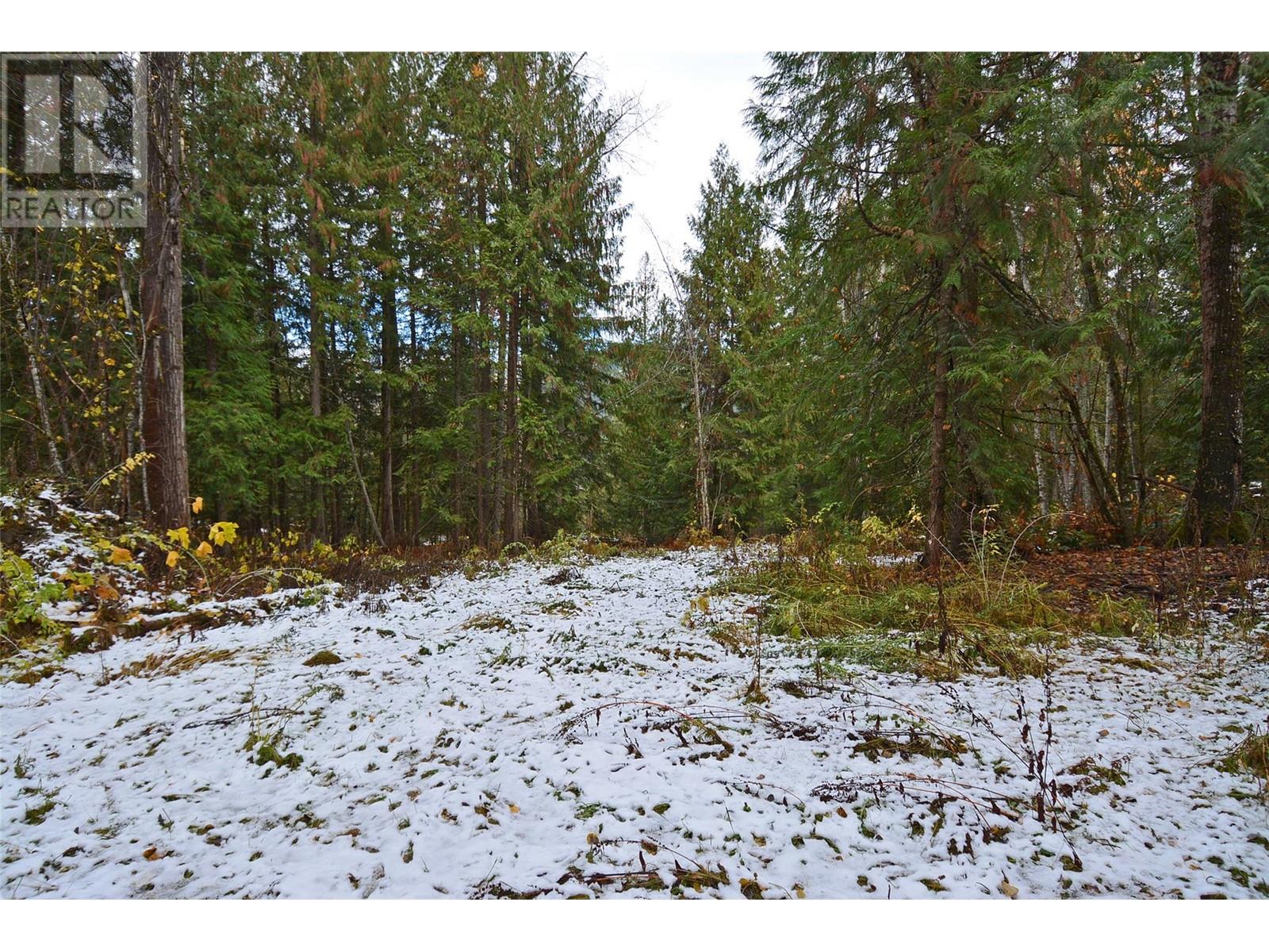 Lot 3 Bedford Road, Nelson, British Columbia  V1L 6X7 - Photo 11 - 10327958