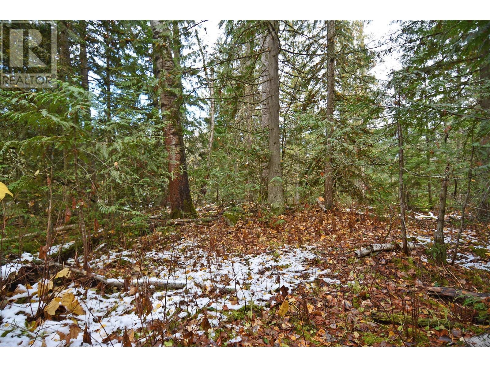 Lot 3 Bedford Road, Nelson, British Columbia  V1L 6X7 - Photo 14 - 10327958