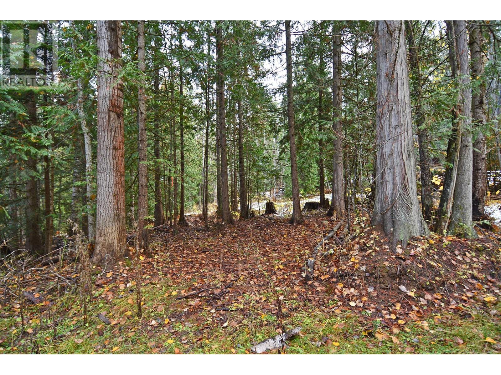 Lot 3 Bedford Road, Nelson, British Columbia  V1L 6X7 - Photo 15 - 10327958