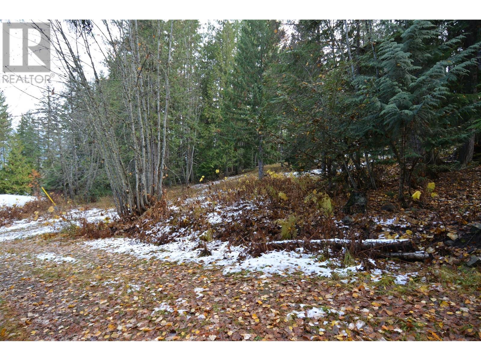 Lot 3 Bedford Road, Nelson, British Columbia  V1L 6X7 - Photo 18 - 10327958