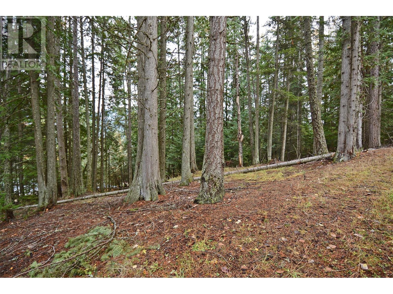 Lot 1 Bedford Road, Nelson, British Columbia  V1L 6X7 - Photo 1 - 10327860