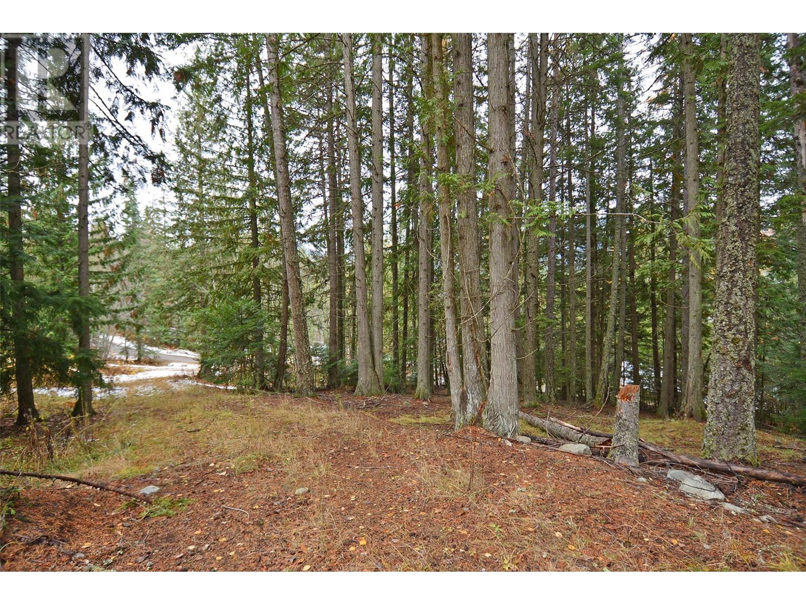 Lot 1 Bedford Road, Nelson, British Columbia  V1L 6X7 - Photo 8 - 10327860