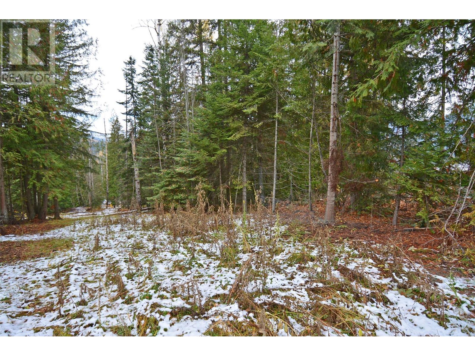 Lot 2 Bedford Road, Nelson, British Columbia  V1L 6X7 - Photo 11 - 10327891