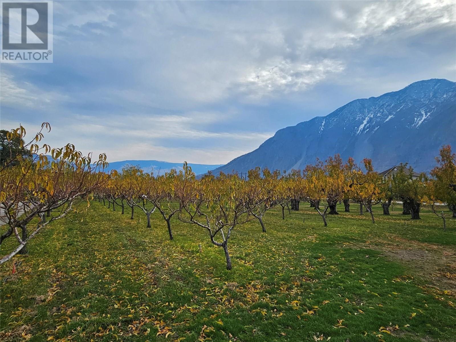 17 7th Avenue, Keremeos, British Columbia  V0X 1N3 - Photo 4 - 10328223