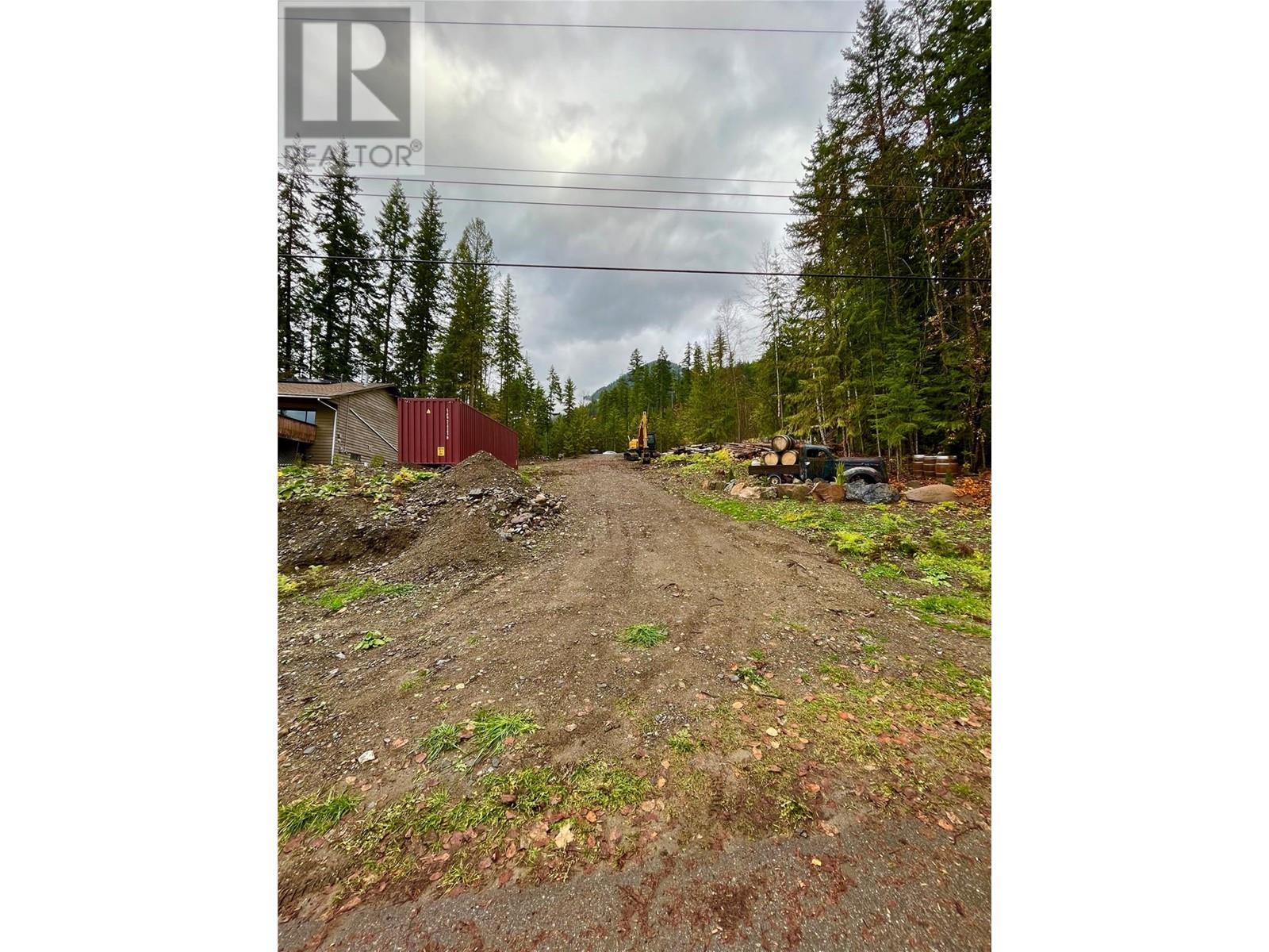 411 Bayview Road, Nakusp, British Columbia  V0G 1R1 - Photo 4 - 10328370