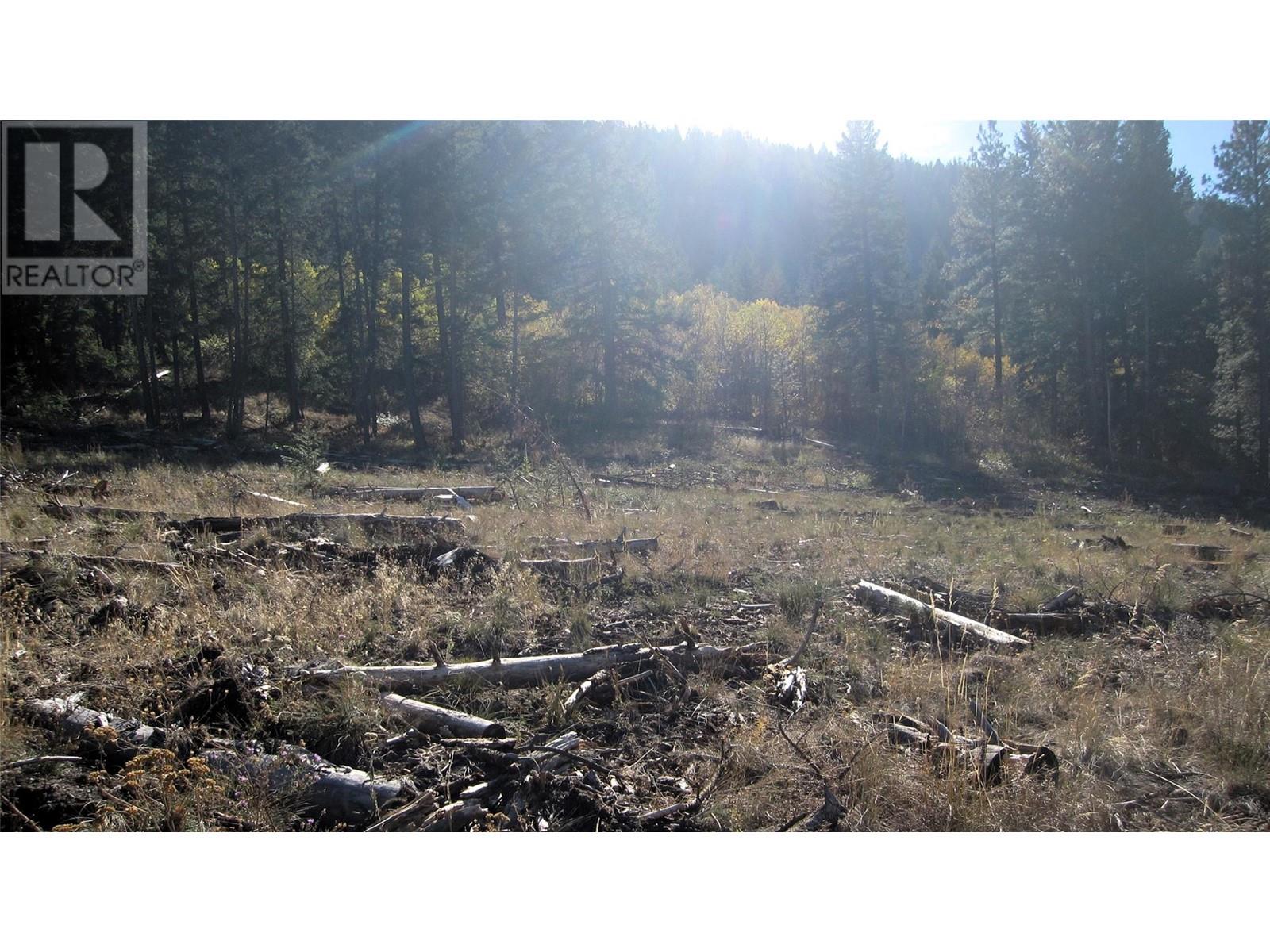 Lot 2 Macaulay Road, Merritt, British Columbia  V1K 1R7 - Photo 14 - 10329213