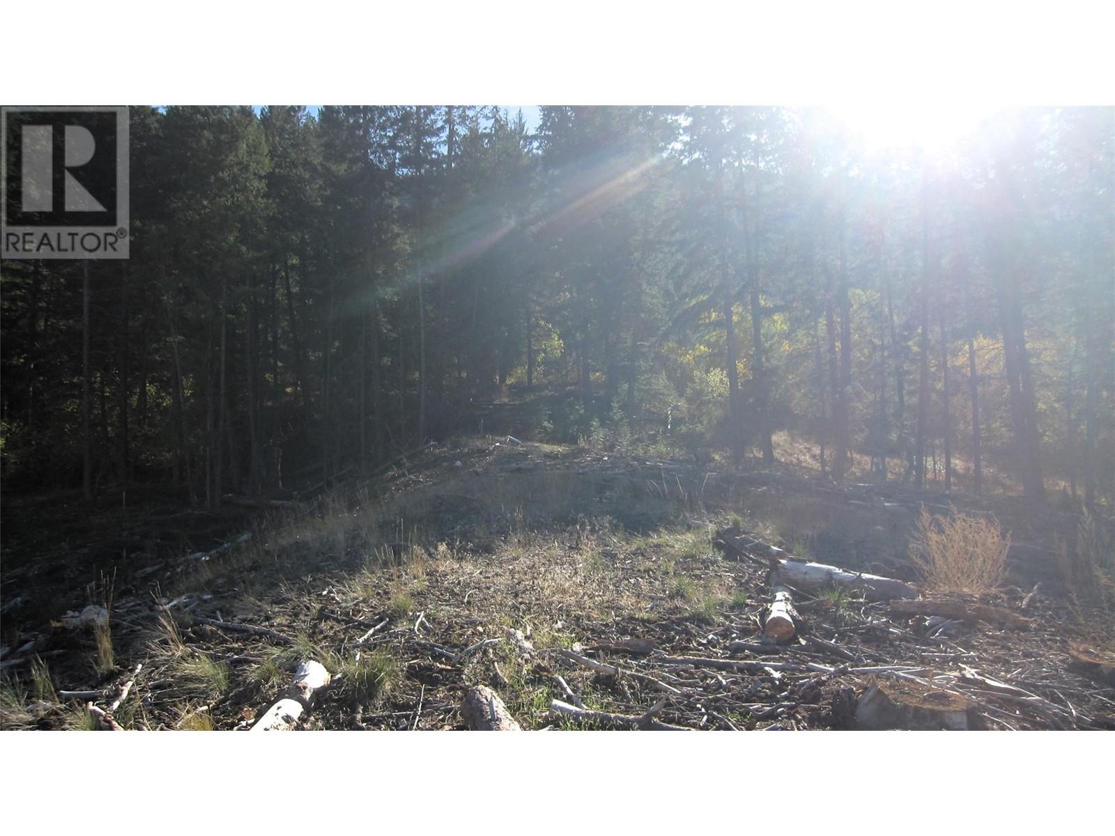 Lot 2 Macaulay Road, Merritt, British Columbia  V1K 1R7 - Photo 15 - 10329213