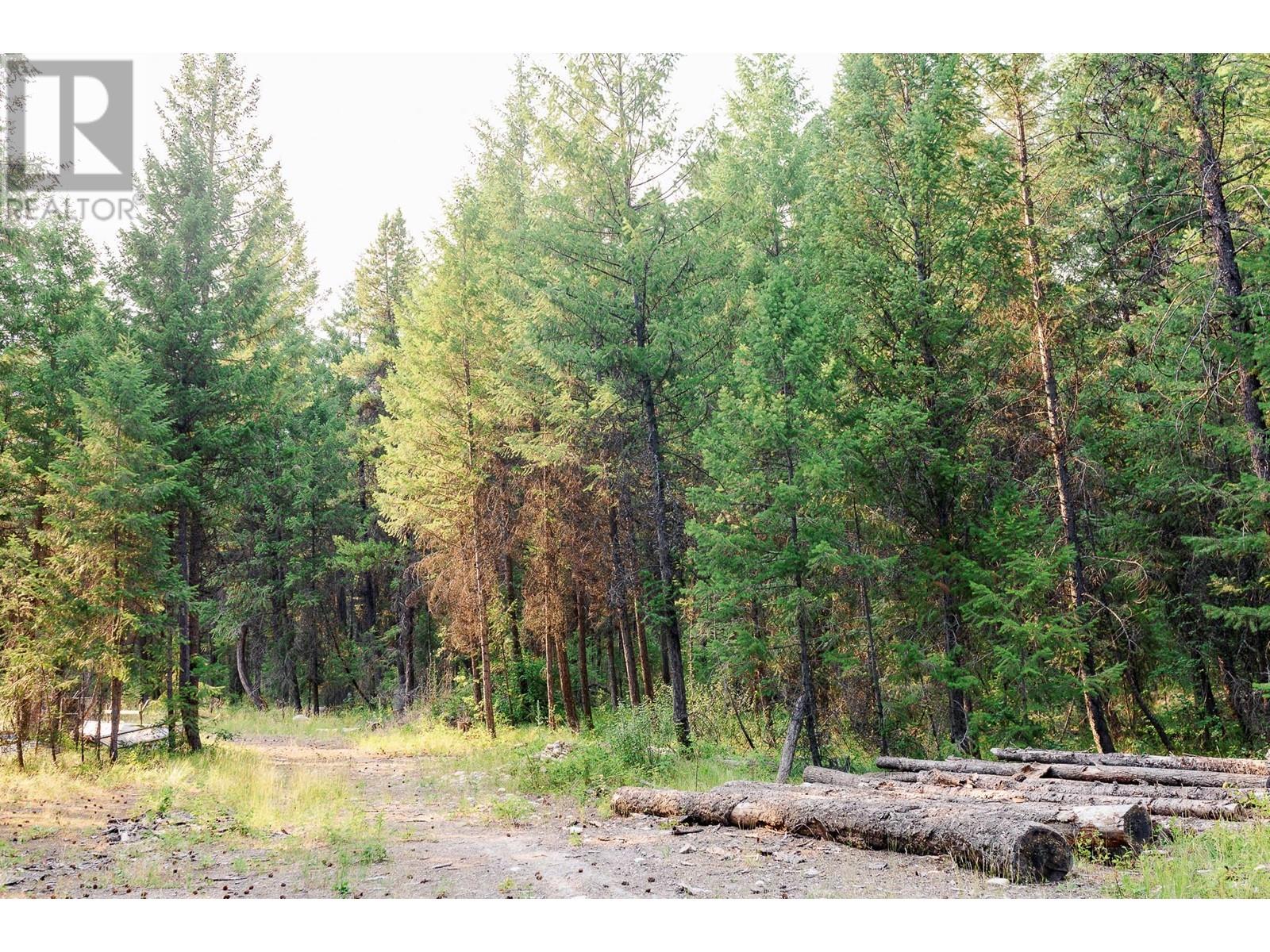 20 Cottonwood Road Lot# A, Beaverdell, British Columbia  V0H 1A0 - Photo 35 - 10329142