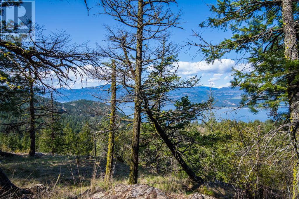 0000 Eastside Road, Vernon, British Columbia  V1H 1K8 - Photo 27 - 10329477