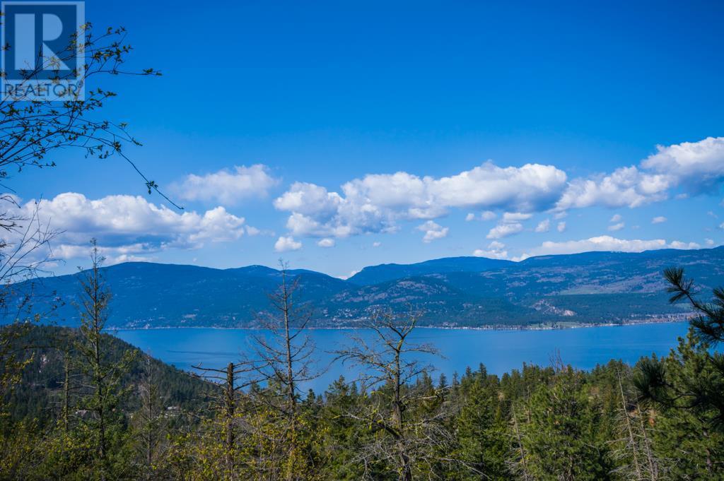 0000 Eastside Road, Vernon, British Columbia  V1H 1K8 - Photo 6 - 10329477