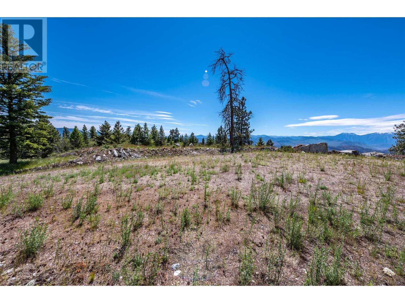 Lot 6 Bighorn Point Lot# 6, Osoyoos, British Columbia  V0H 1V6 - Photo 4 - 10330425