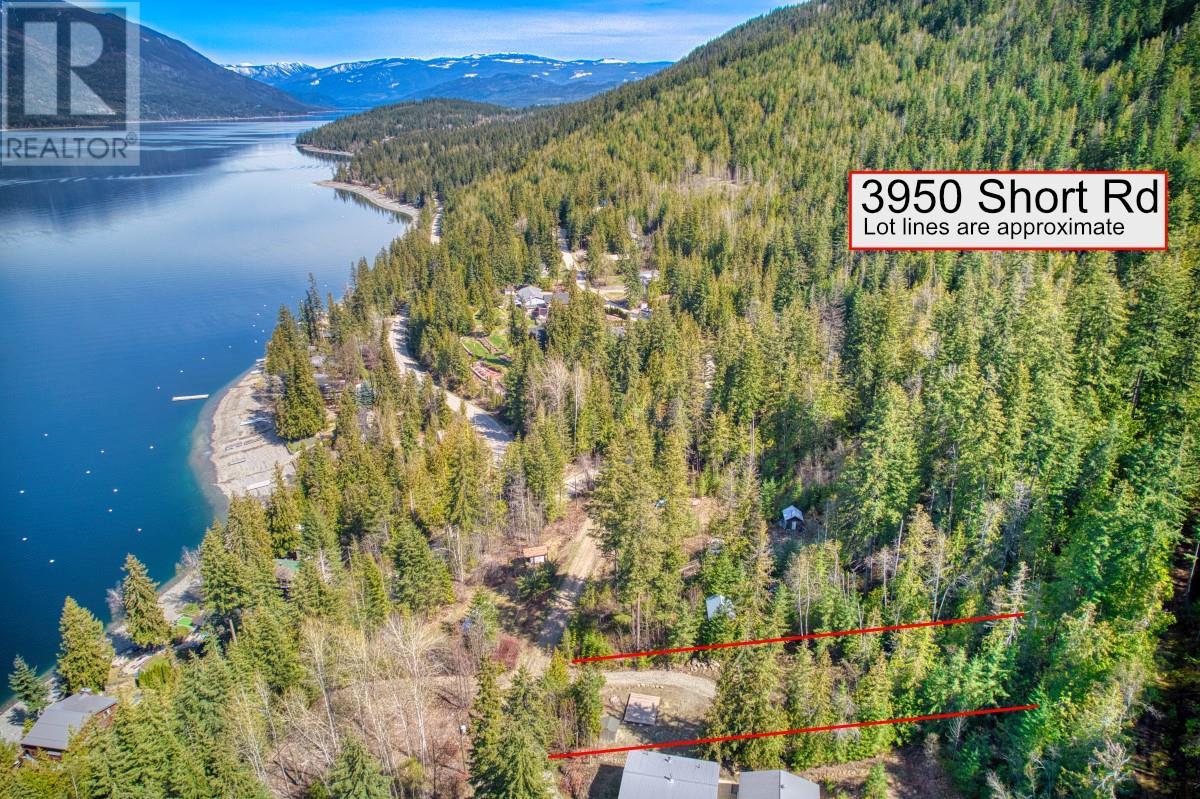 3950 Short Road, Eagle Bay, British Columbia  V0E 1T0 - Photo 10 - 10330106