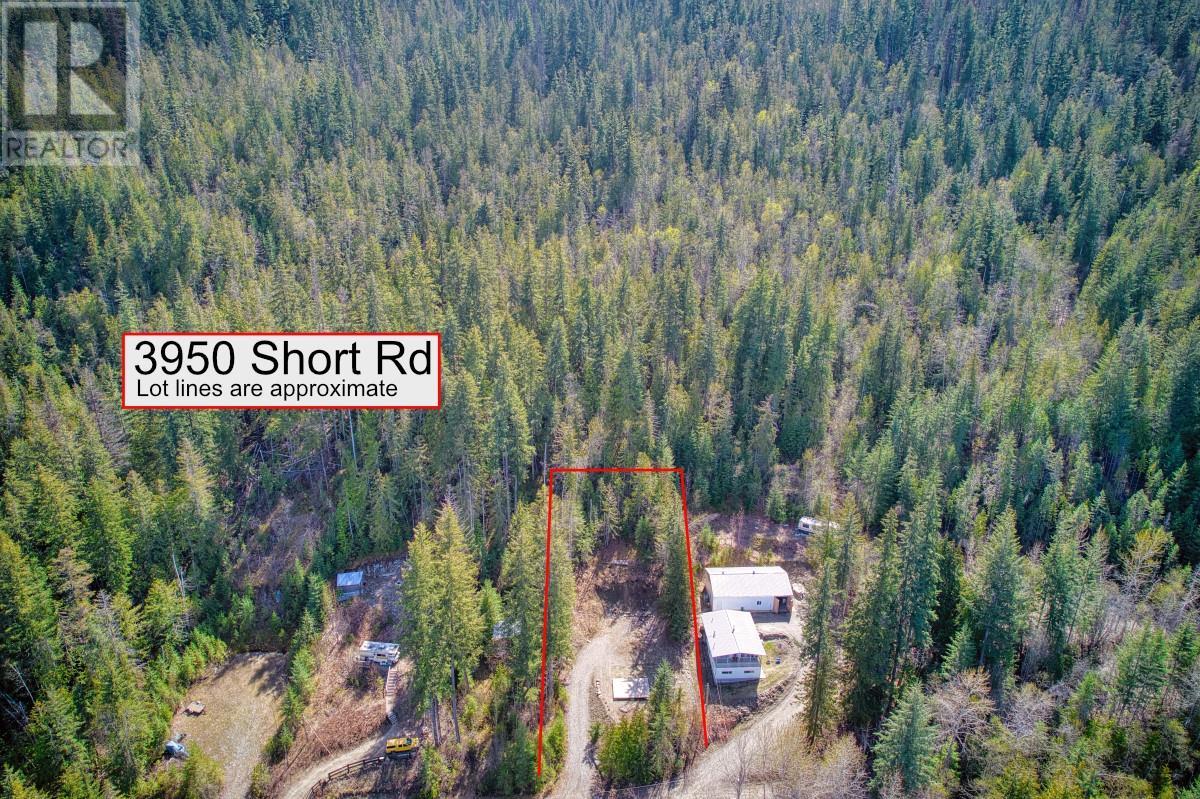 3950 Short Road, Eagle Bay, British Columbia  V0E 1T0 - Photo 3 - 10330106