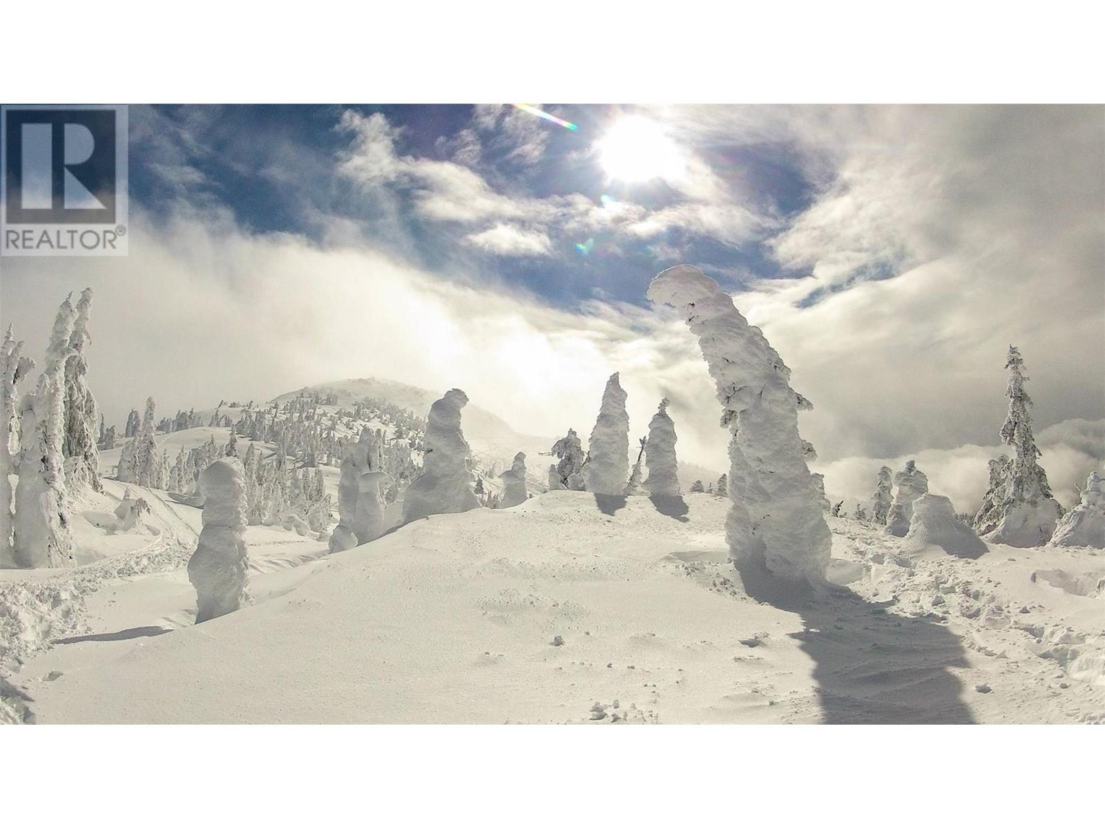 240a Grizzly Ridge Trail, Big White, British Columbia  V1P 1P3 - Photo 33 - 10330707