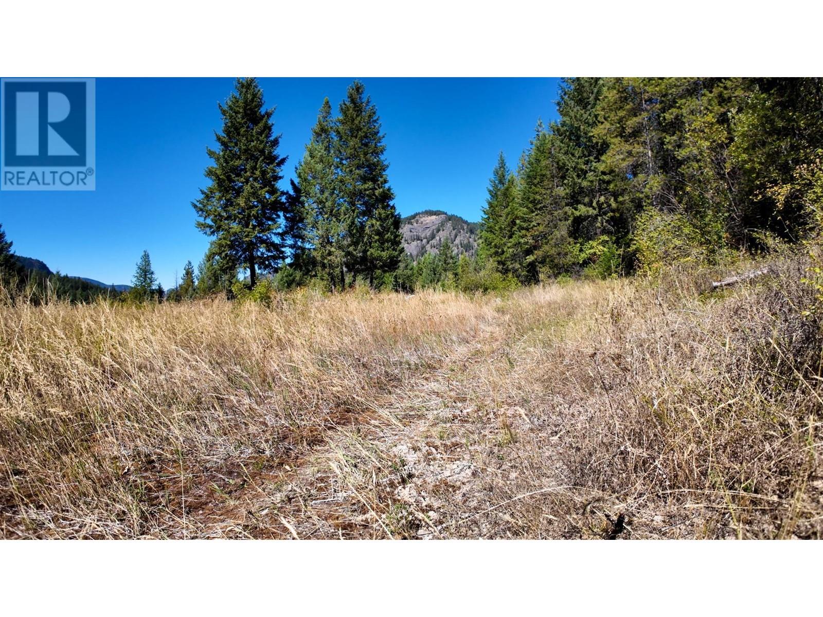 Lot 3 33 Highway, Westbridge, British Columbia  V0H 1Y0 - Photo 15 - 10324016