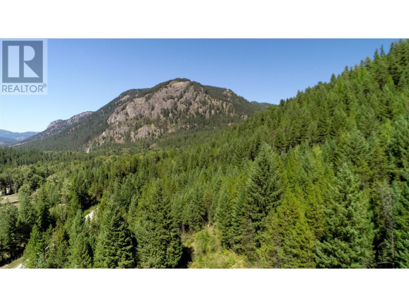 Lot 3 33 Highway, Westbridge, British Columbia  V0H 1Y0 - Photo 3 - 10324016