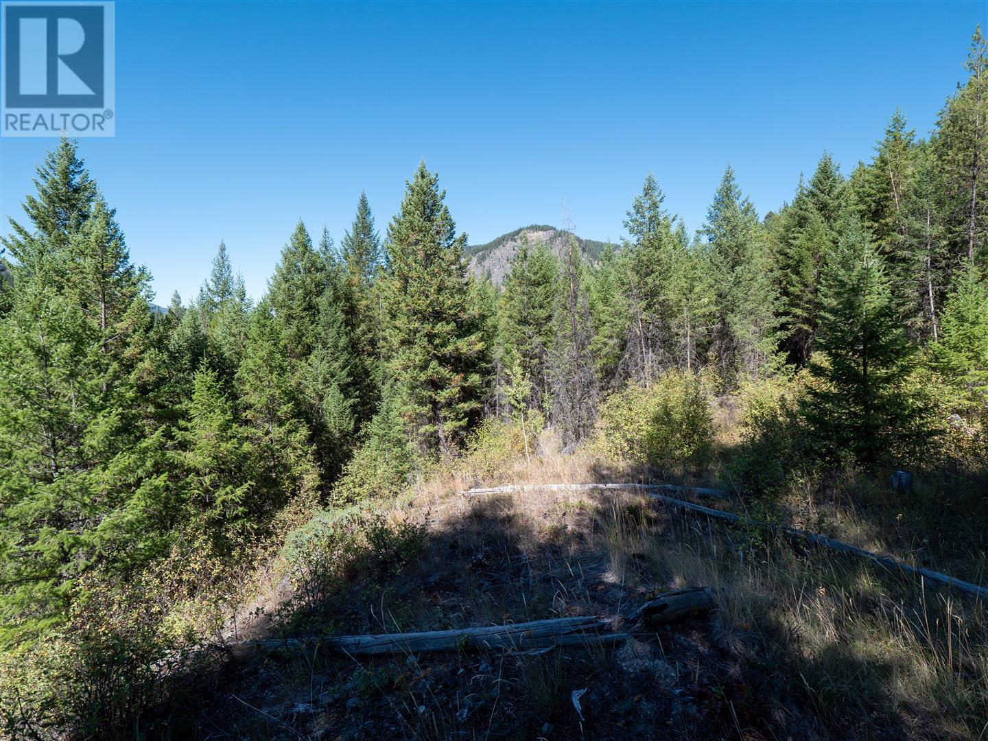 Lot 3 33 Highway, Westbridge, British Columbia  V0H 1Y0 - Photo 8 - 10324016