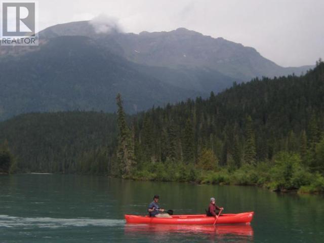 Specialty Clearwater Valley Road, Wells Gray, British Columbia  V0E 1N1 - Photo 21 - 10332815