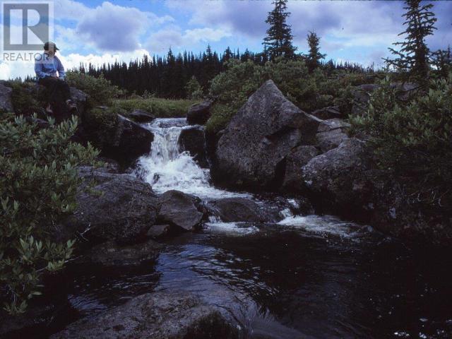 Specialty Clearwater Valley Road, Wells Gray, British Columbia  V0E 1N1 - Photo 35 - 10332815