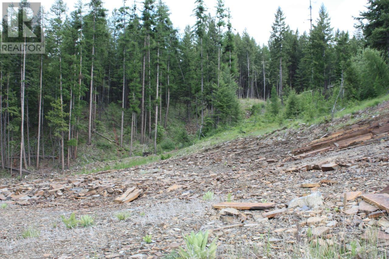 Ml 1027410 Fassifern Fs Road, Cranbrook, British Columbia  V1C 6T3 - Photo 23 - 10336346
