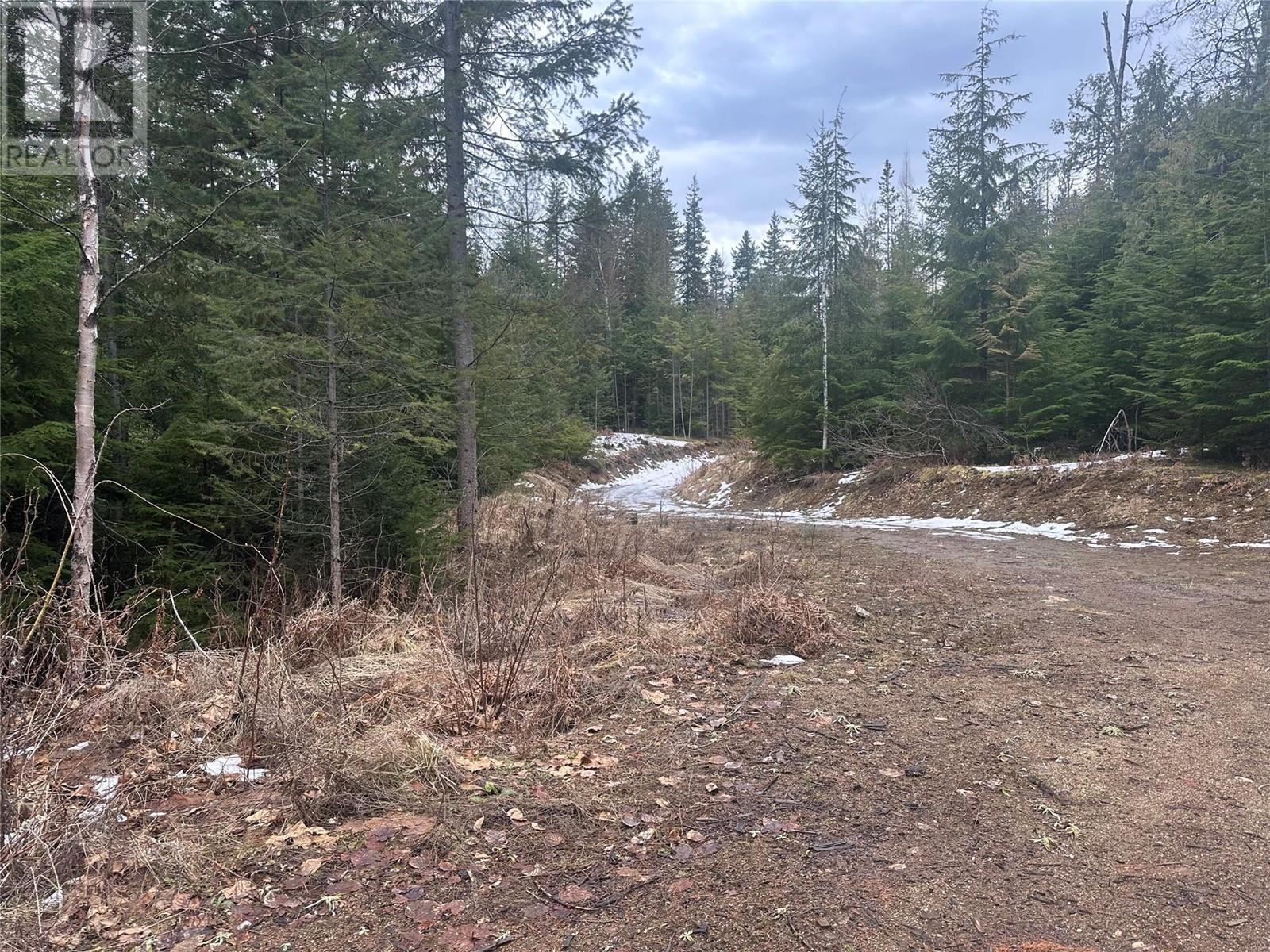 Lot B Highway 31 Highway, Kaslo, British Columbia  V0G 1M0 - Photo 10 - 10337083
