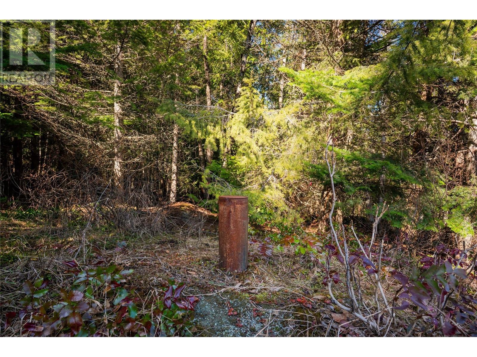4020 Kays Road, Nelson, British Columbia  V1L 6X6 - Photo 17 - 10341436