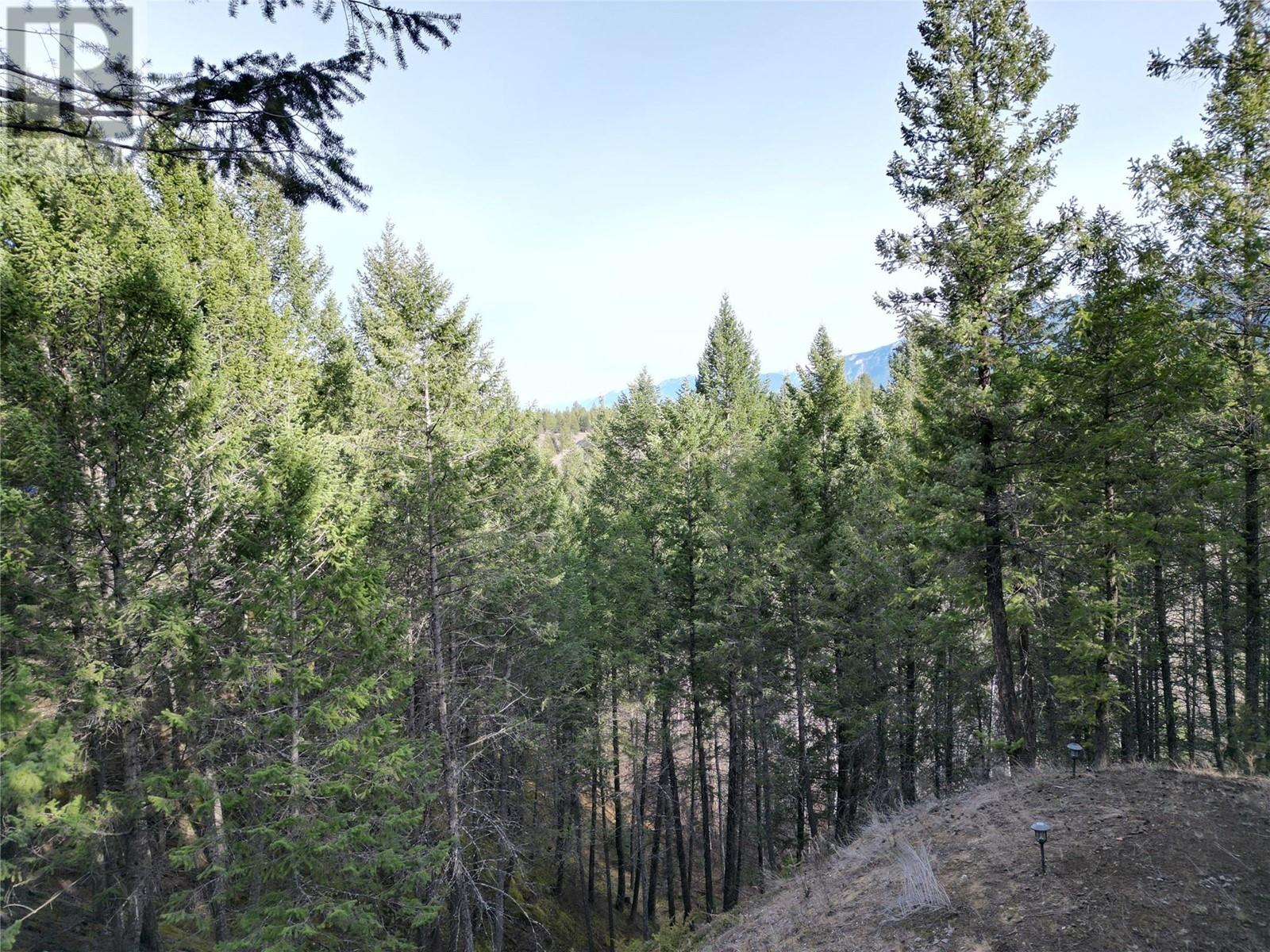 4882 Lynx Crescent, Radium Hot Springs, British Columbia  V0A 1M0 - Photo 29 - 10343800
